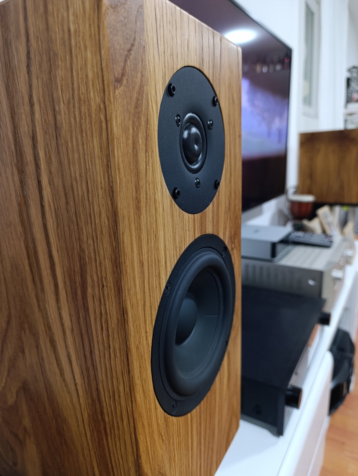 Aeternum Audio Origin - High Fidelity DIY Speaker Project